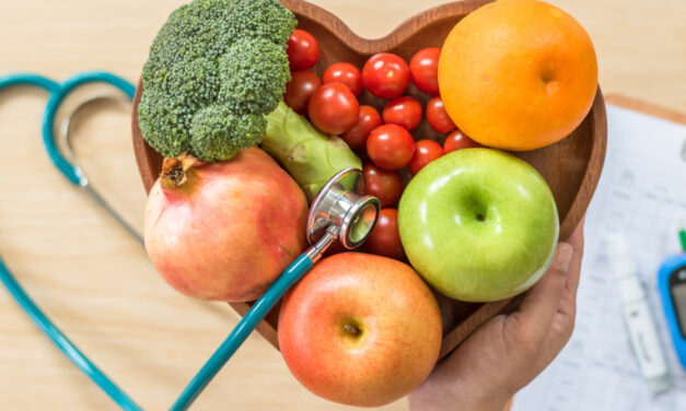 Which insurers provide nutritional support to clients and how do they compare?