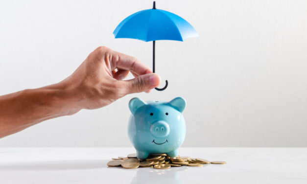 What safety net do income protection plans offer if a client’s income drops?