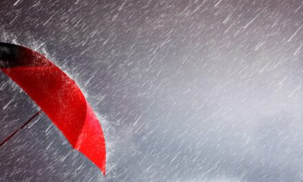 The LV= claim stories that highlight the value of income protection