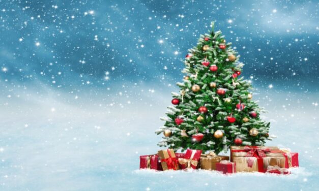 Protecting the North Pole – Can insurance save Christmas?