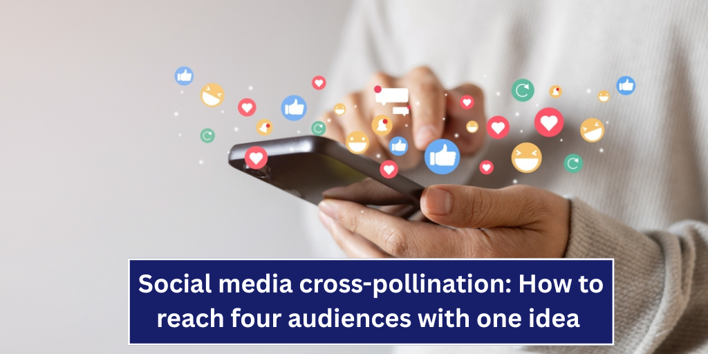 Social media cross-pollination: How to reach four audiences with one idea